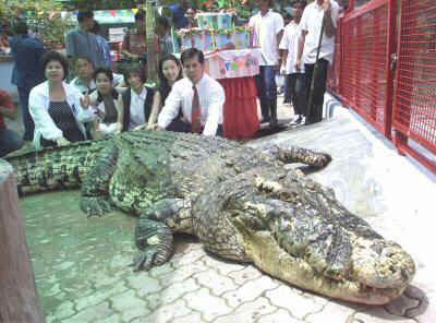 World's biggest crocodile